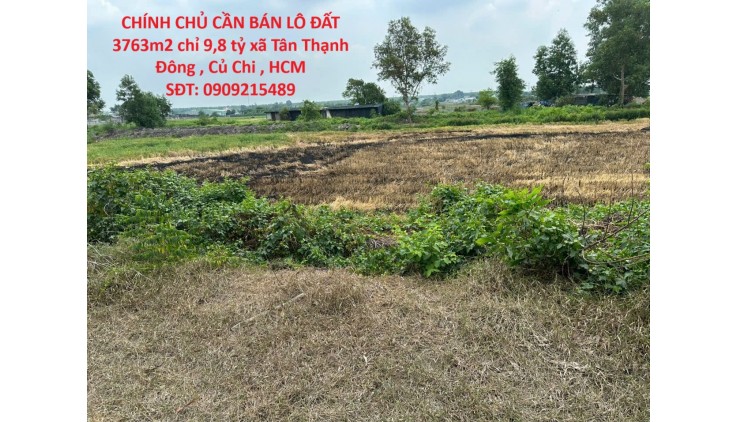 CHÍNH CHỦ CẦN BÁN LÔ ĐẤT 3763m2 chỉ 9,8 tỷ xã Tân Thạnh Đông , Củ Chi , HCM